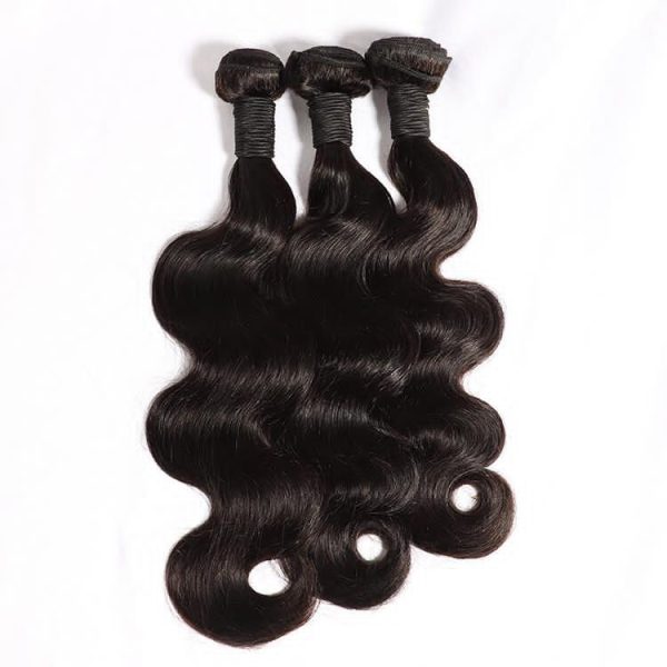 raw virgin hair bundle