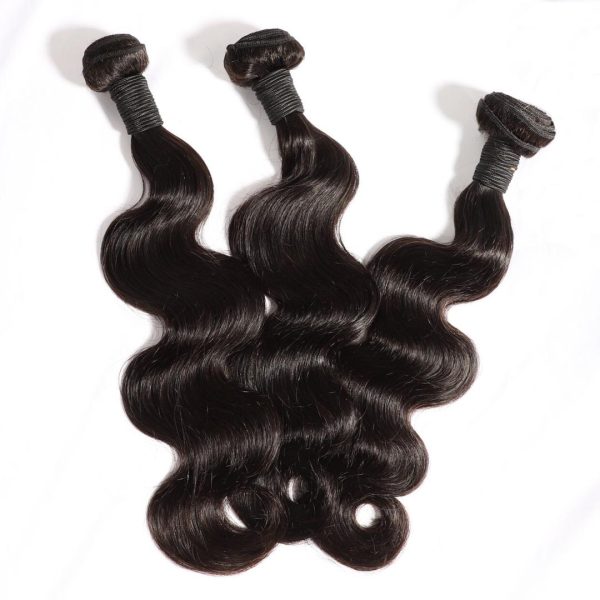 raw virgin hair bundle